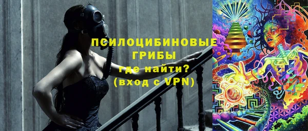 крисы Гусь-Хрустальный