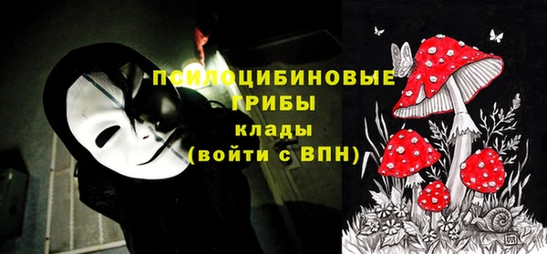каннабис Гусев