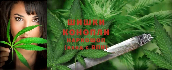 крисы Гусь-Хрустальный