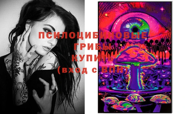 крисы Гусь-Хрустальный
