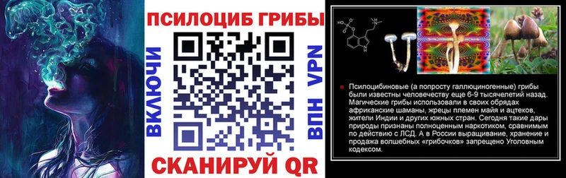 Псилоцибиновые грибы GOLDEN TEACHER  Дмитров 